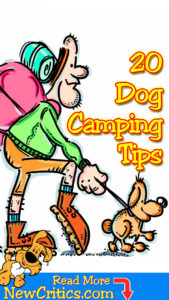 dog-camping-tips