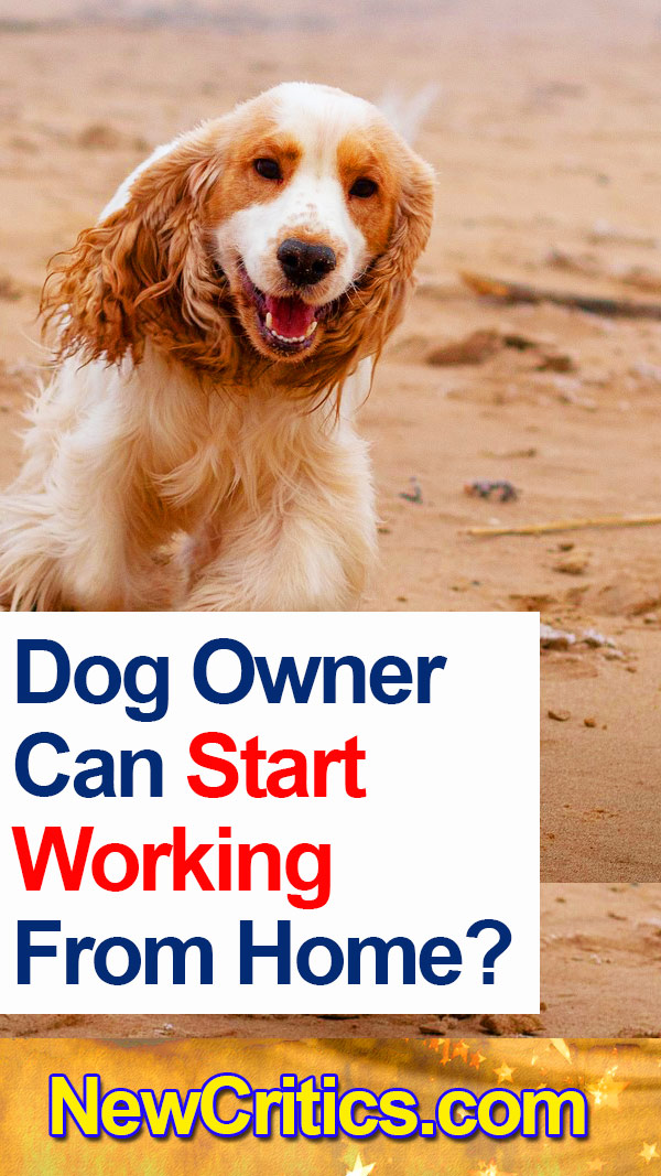 Dog Owner Can Start Working From 🏡 Home