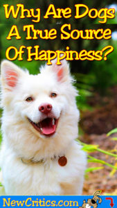 dog-happyness