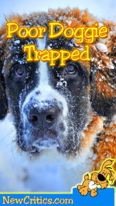 doggie-trapped