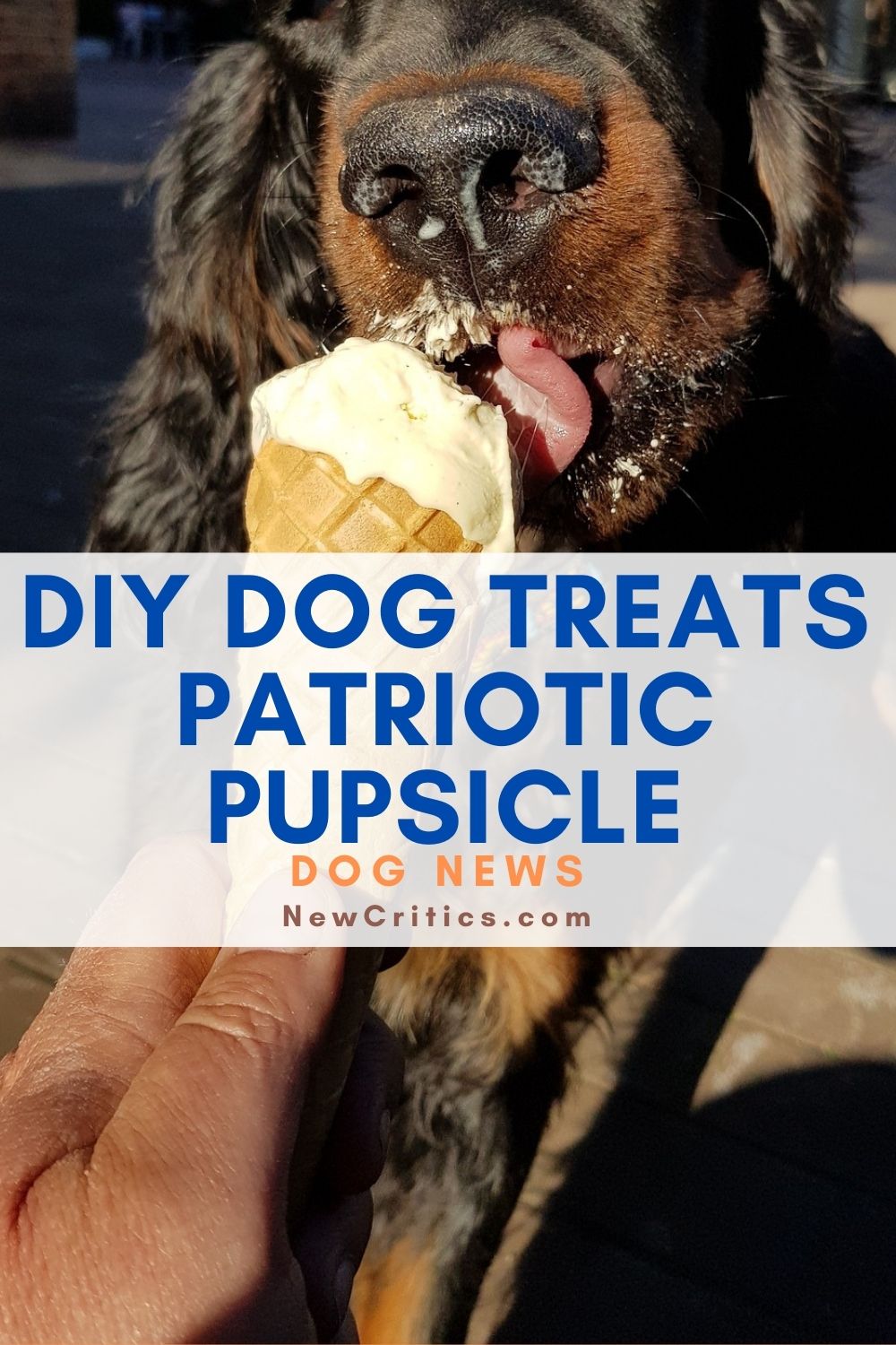DIY Dog Treats Patriotic Pupsicle / Pixabay