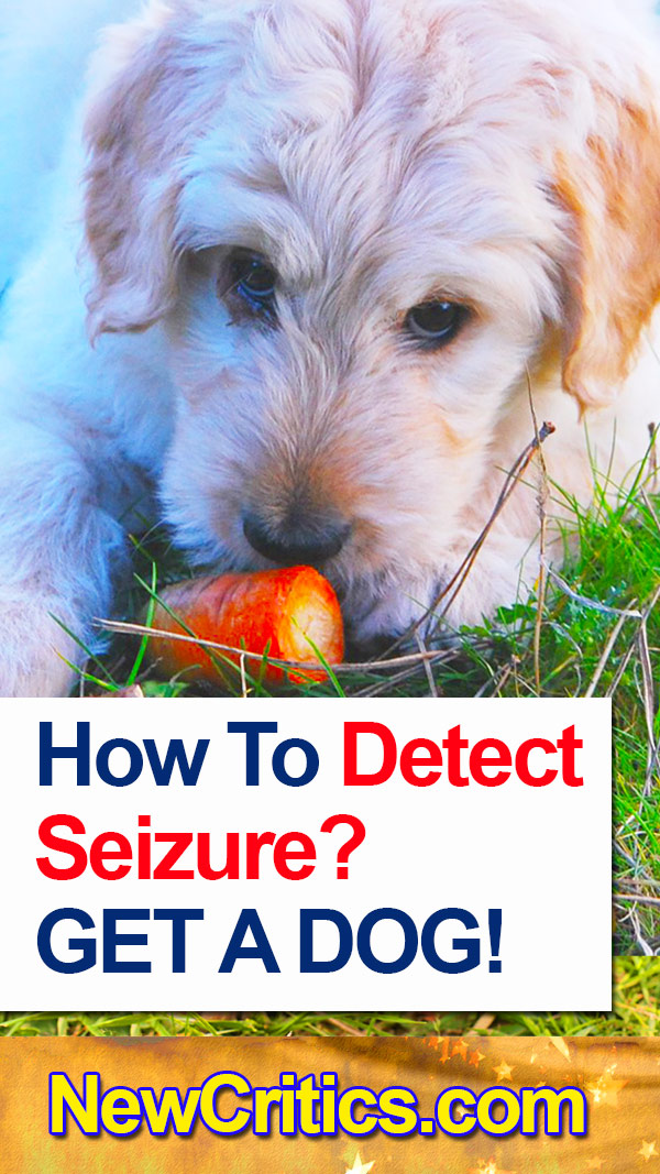 How-To-Detect-Seizure-GET-A-DOG!