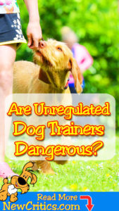 What Are Unregulated Dog Trainers? ????‍♀️ Why Are They Dangerous? What’s the risk of hiring someone who isn’t really a registered dog trainer?