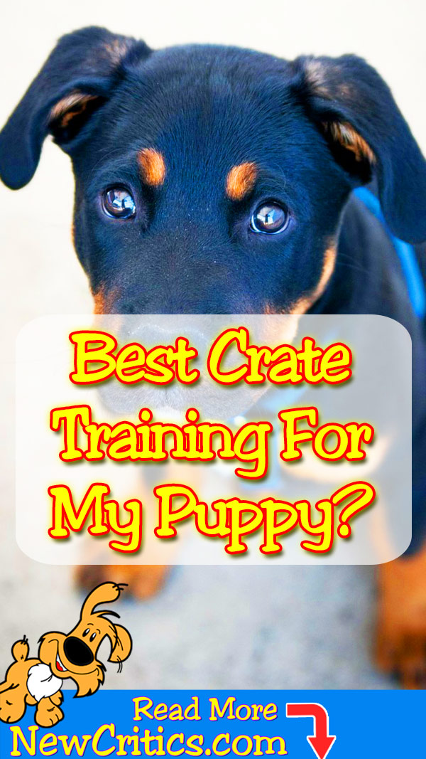 Best Puppy Crate Training