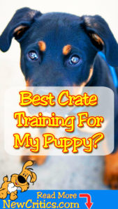puppy-crate-training
