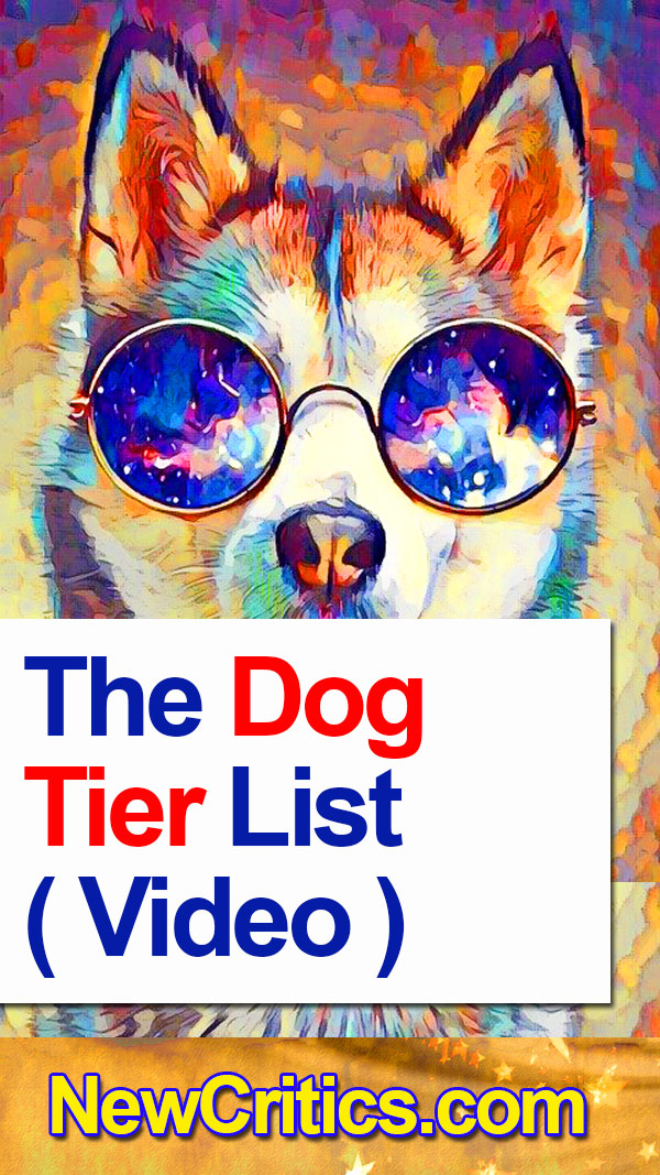 The Dog Tier List