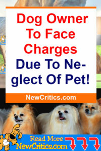 Newcritics-Dog-Neglect