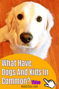 What Have Dogs And Kids In Common