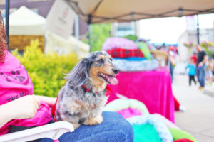 Old Town Market Turns Into Family Dog Show