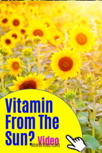 Vitamin From The Sun