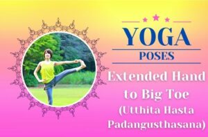 Yoga Extended Hand To Big Toe Pose / Canva