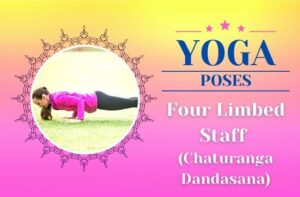 Yoga Four Limbed Staff Pose / Canva