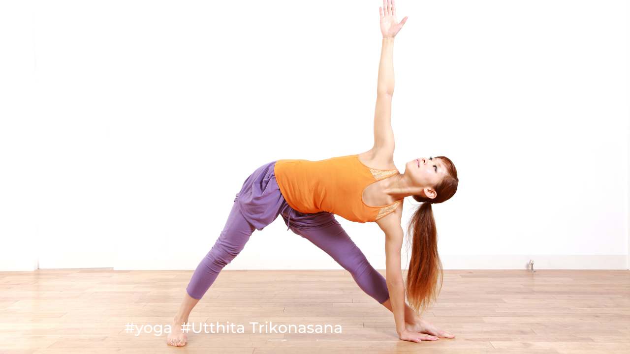 Yoga Pose Extended Triangle / Canva