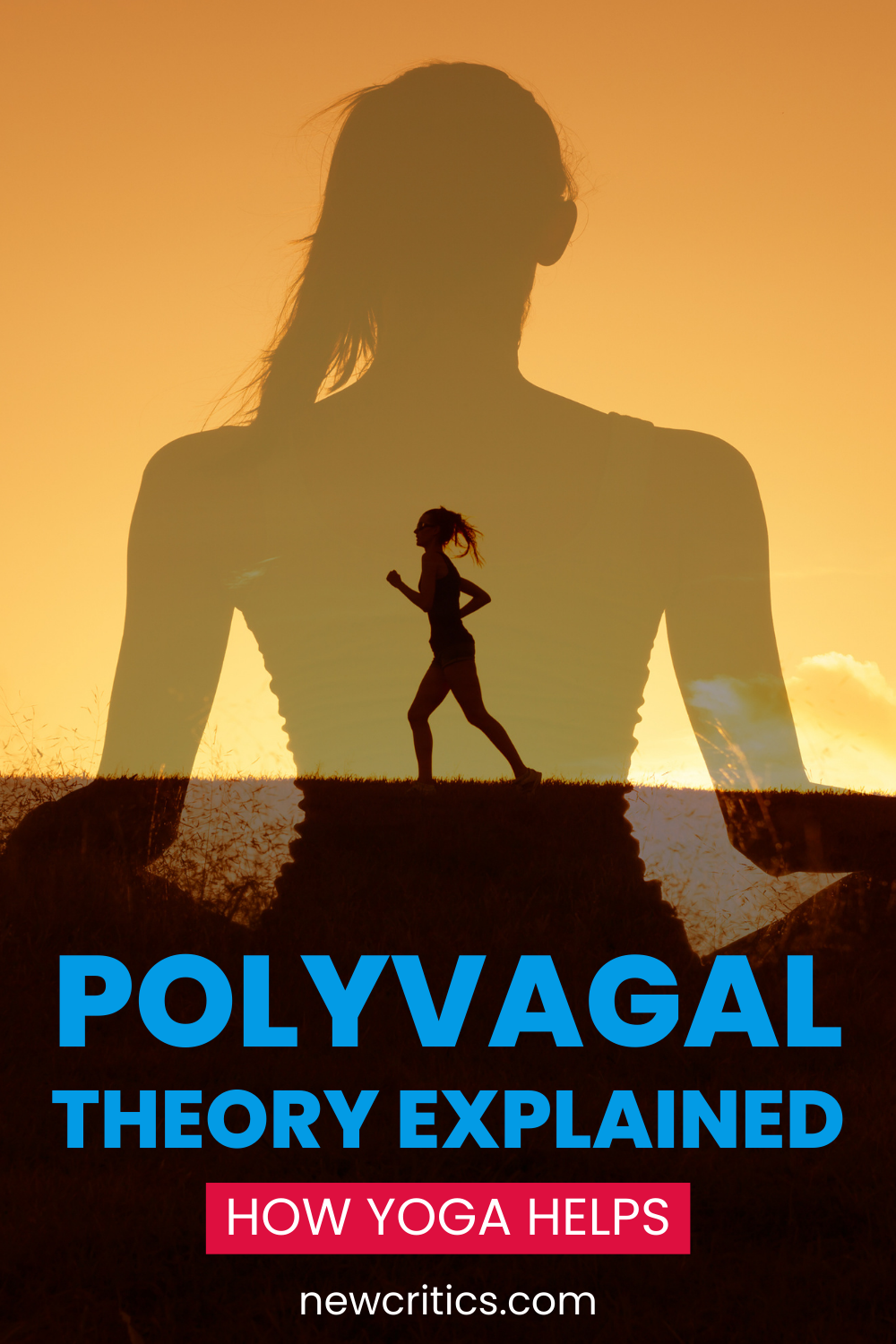 Polyvagal Therory Explained / Canva