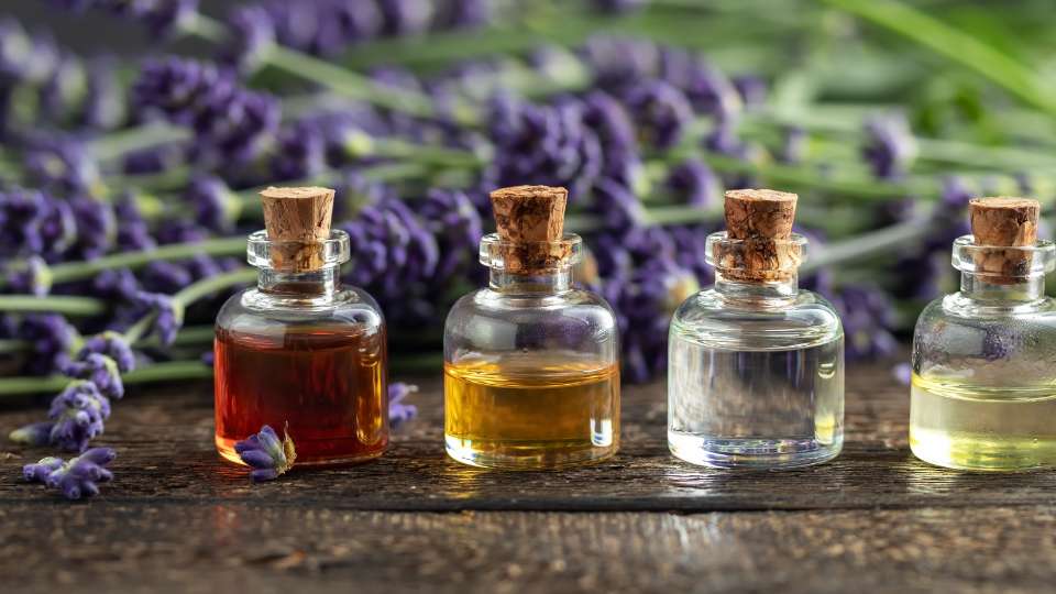 Guidelines For Using Essential Oils / Canva