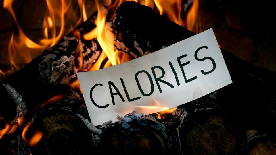 Nutrition For Maximum Calorie Burning / Canva