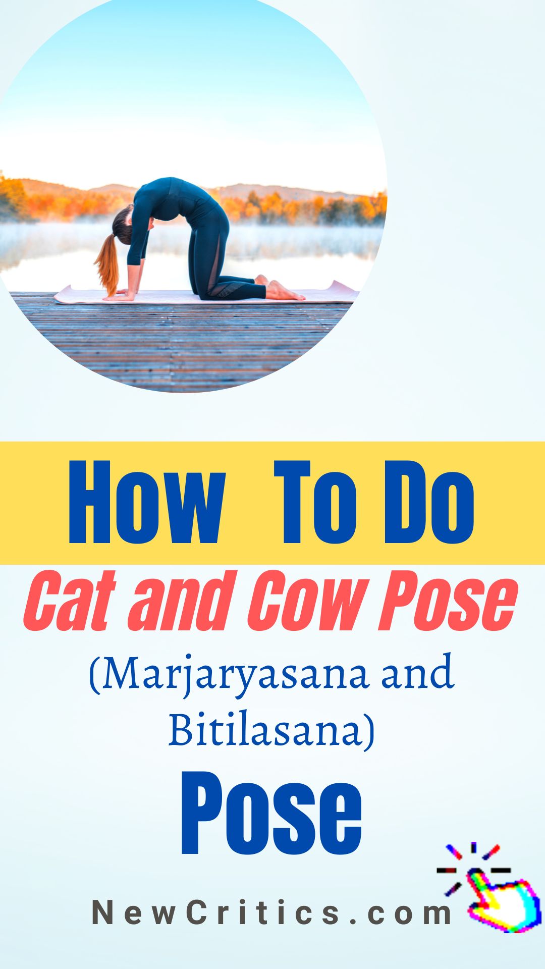 How To Do Cat and Cow Pose / Canva