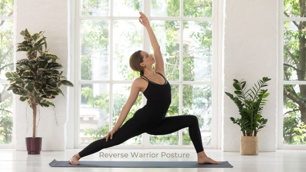 Reverse Warrior Posture / Canva