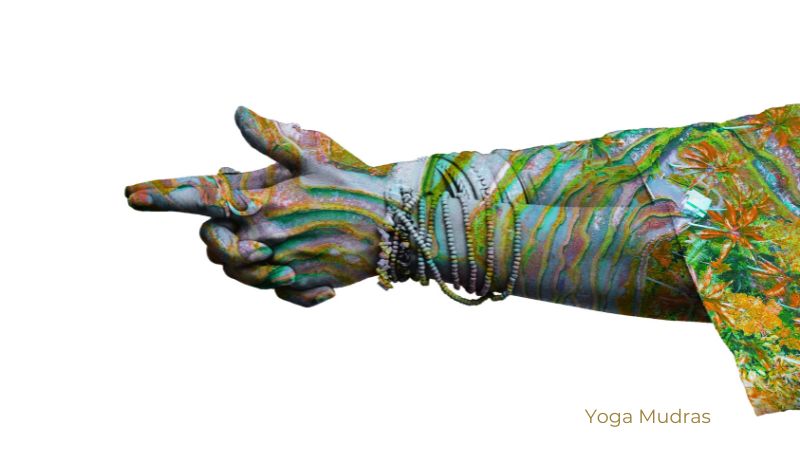 Yoga Mudras / Canva