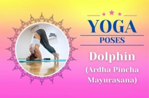 Yoga Dolphin Pose / Canva