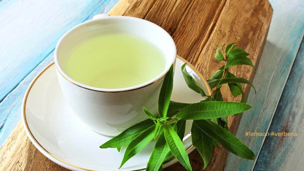 Lemon Verbena Herbal Tea / Canva